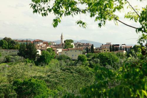 Villa Country House Firenze
