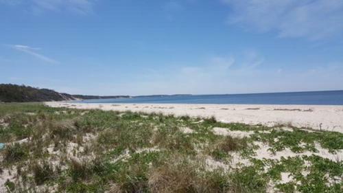 Sea View Beach House North Fork Vineyards Farm Stands Your Beach