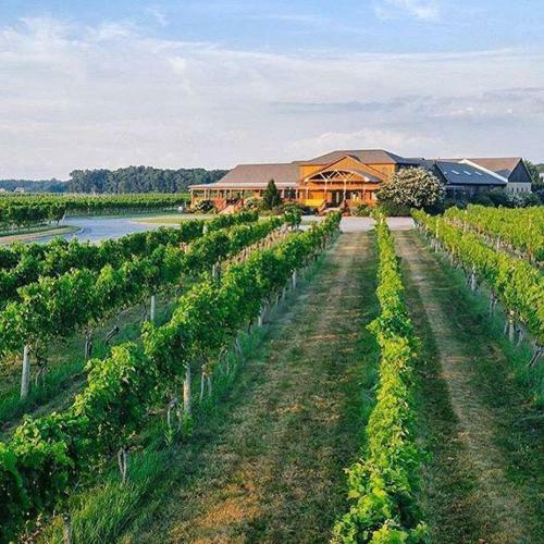 Modern Barn Loft In North Fork Vineyards In Backyard Farm