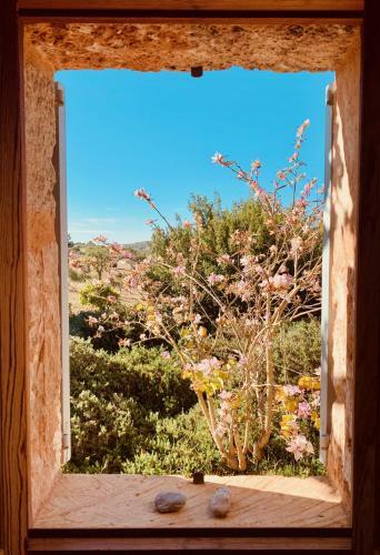 Villa Finca Sa Moleta Nou