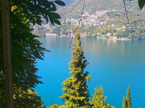 Apartamento Villa Vittoria Blevio