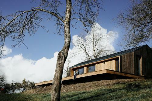 Natur Chalet Lachen