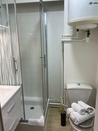 Apartamento Studio Cit� Des Congr�s - Ch�teau
