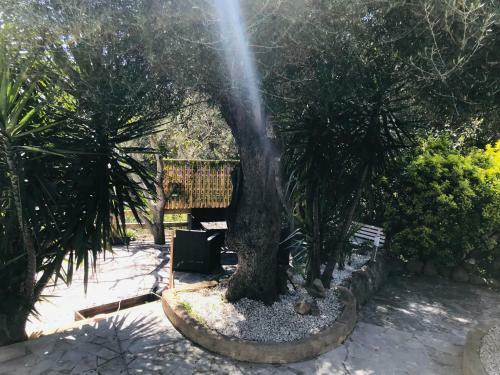Magnifique Villa Avec Chemin�e