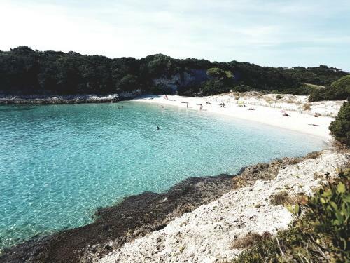 Apartment In Porto Vecchio 6 People With 2 Bathrooms