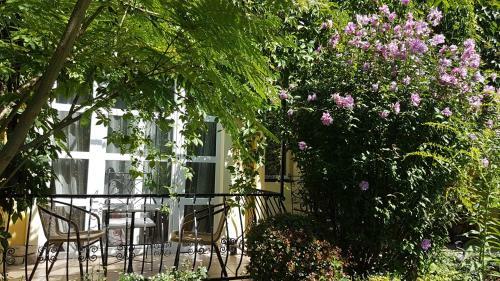 Hostal Panor�ma Panzi�