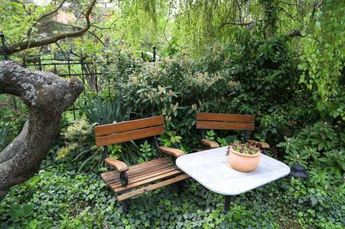Hostal Panor�ma Panzi�