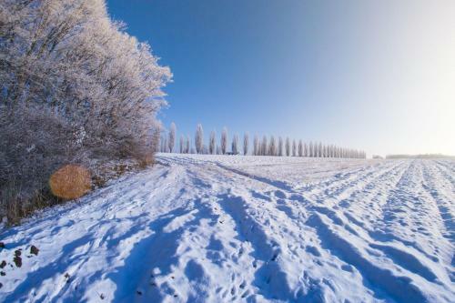 Secret Wellness Pool&relax