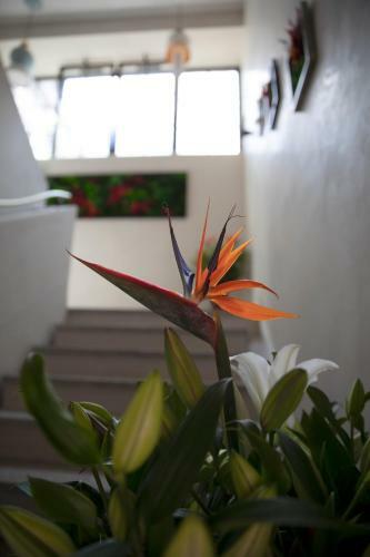 Hotel Botanica