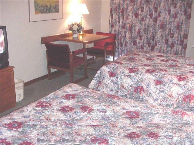 Hotel Comfort Inn Midtown Kingston - Standard Cb
