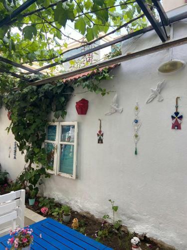 Hostal Nese Hotel