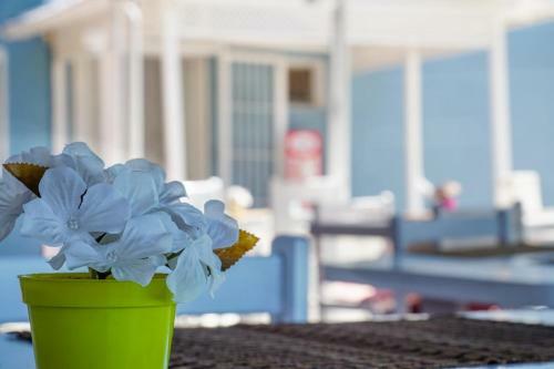Minerva Port Hotel