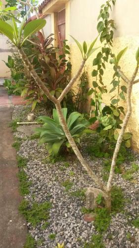 Apartamento Em Arraial Do Cabo