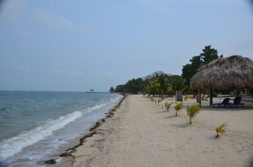 Hotel Mariposa Belize Beach Resort