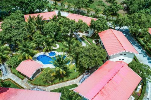 Oasis Tropical