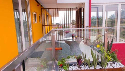 Red Mango Hotel And Apartments
