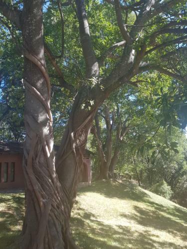 Albergue Nyangombe Backpackers