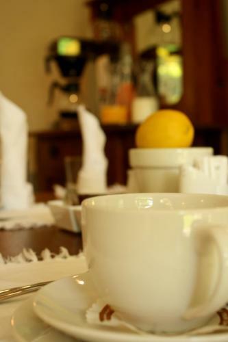 Bed & Breakfast Lemon & Lime Guesthouse