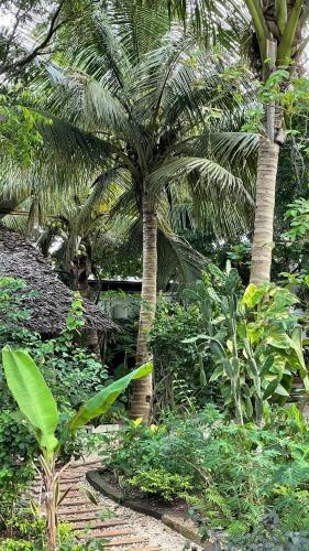Hotel Atii Garden Bungalows