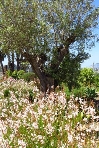 Villa Finca Klara