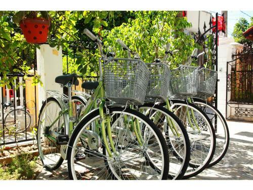 Sunny Garden Homestay