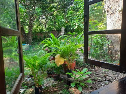 Jungle House Kep