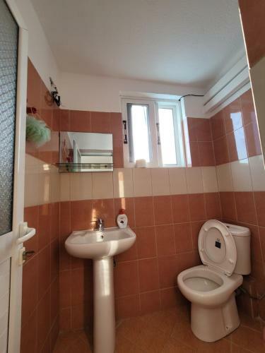 Hostal Guesthouse Shpetim