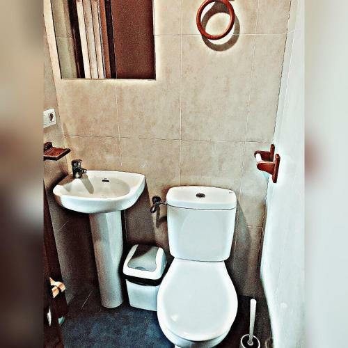 Albergue Roots&boots Lugo