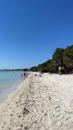 Holidays2mallorca Front Beach Apartment With Private Pool