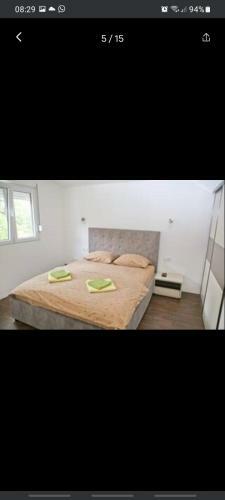 Apartman Zoja
