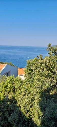 Hostal Ivana Ratac Sutomore