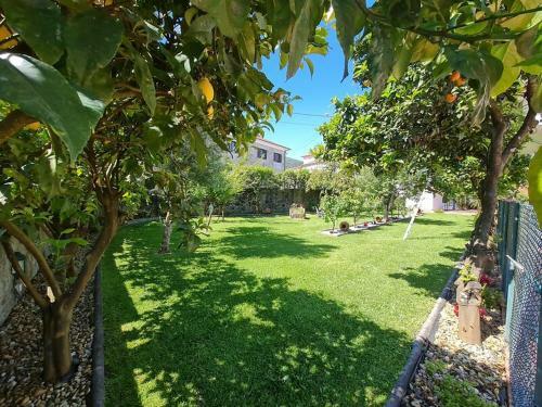 Villa Quinti�es Com Piscina Barcelos