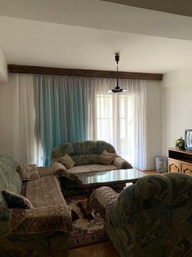 Apartment Viki