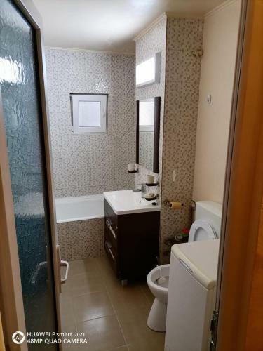 Exclusive Apartments Arad V2