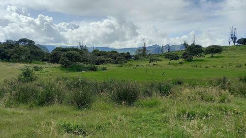 Agroturismo Finca La Manguita