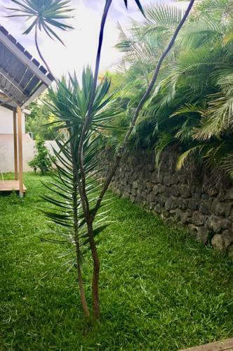 Villalarun