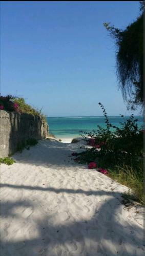 Oceanfront Furnished Apartment Shanzu