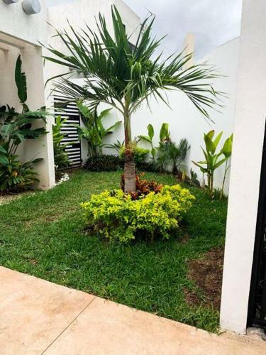 Casa Del Verano Eterno