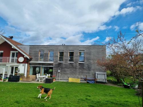 Apartamento Appartement Hard Bodensee