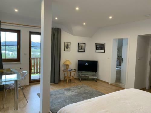 Luxury Villa In Extensive Grounds On Lipno Lake