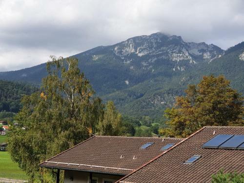Apartamento Birke 2