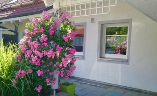 Apartamento Panoramablick