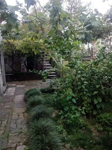 Guest House Rati