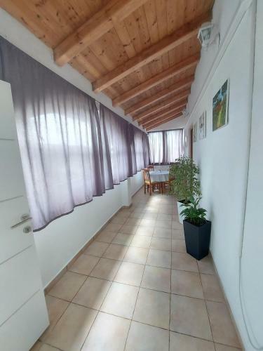 Apartman Marko