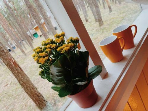 Lodge Energetikas ? Nameliai Prie J?ros