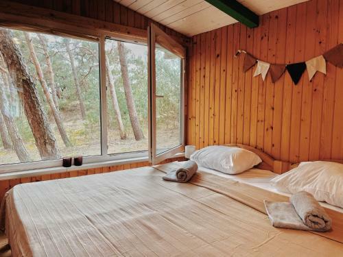 Lodge Energetikas ? Nameliai Prie J?ros