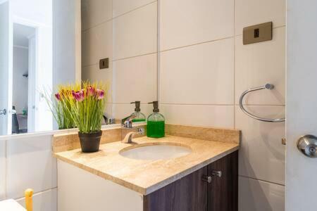 Apartamentos Ecoalameda