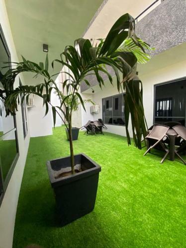Clem Luxury Apartments