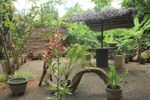 Udara Gajashakthi Hide Out Hostel