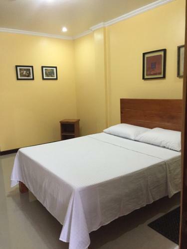 Bed & Breakfast Golden Pension House,palawan
